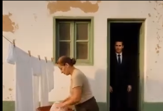 Miris lavande i povratak kući – priča o ljubavi koja je preživjela tišinu