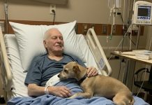 Dozvolili su njegovom psu da se oprosti — nekoliko sati kasnije, medicinska sestra je otvorila vrata… i ispustila sve dokumente.