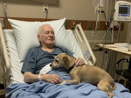 Dozvolili su njegovom psu da se oprosti — nekoliko sati kasnije, medicinska sestra je otvorila vrata… i ispustila sve dokumente.