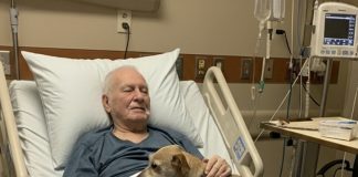 Dozvolili su njegovom psu da se oprosti — nekoliko sati kasnije, medicinska sestra je otvorila vrata… i ispustila sve dokumente.