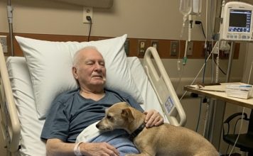 Dozvolili su njegovom psu da se oprosti — nekoliko sati kasnije, medicinska sestra je otvorila vrata… i ispustila sve dokumente.