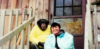 Sandra se godinama kupala i spavala sa šimpanzom ne sluteći šta će joj se desiti: Od užasa koji je doživela ni danas se nije oporavila