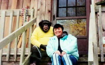 Sandra se godinama kupala i spavala sa šimpanzom ne sluteći šta će joj se desiti: Od užasa koji je doživela ni danas se nije oporavila