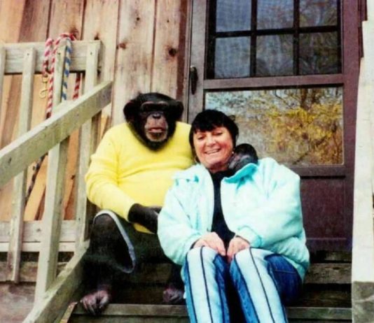 Sandra se godinama kupala i spavala sa šimpanzom ne sluteći šta će joj se desiti: Od užasa koji je doživela ni danas se nije oporavila