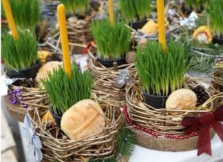 Ako se BOŽIĆNA PŠENICA POSADI NA OVAJ DAN kuća će biti blagoslovena cele godine