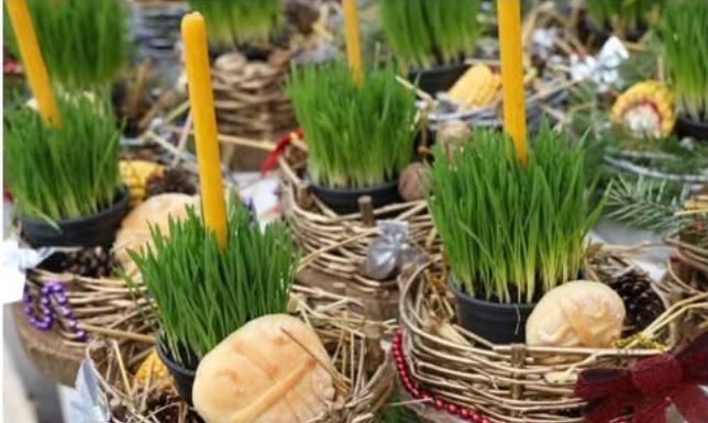 Ako se BOŽIĆNA PŠENICA POSADI NA OVAJ DAN kuća će biti blagoslovena cele godine