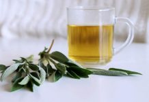 RAKIJA OD ŽALFIJE JAČA JE OD SVAKE HEMIJE: Ova 3 Recepta Obavezno Čuvajte Za Zdravlje Vas I Vaše Porodice