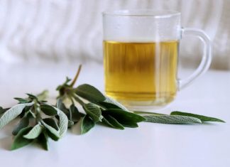 RAKIJA OD ŽALFIJE JAČA JE OD SVAKE HEMIJE: Ova 3 Recepta Obavezno Čuvajte Za Zdravlje Vas I Vaše Porodice