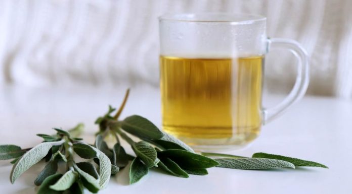 RAKIJA OD ŽALFIJE JAČA JE OD SVAKE HEMIJE: Ova 3 Recepta Obavezno Čuvajte Za Zdravlje Vas I Vaše Porodice