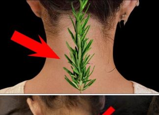 Nisam mogla da se uspravim zbog bolova u vratu i leđima – Evo kako mi je običan ruzmarin pomogao!