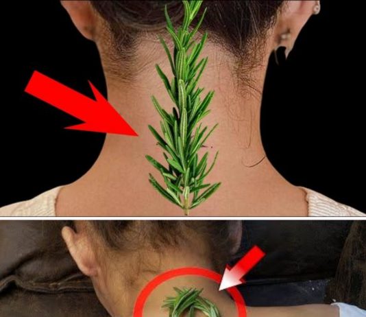 Nisam mogla da se uspravim zbog bolova u vratu i leđima – Evo kako mi je običan ruzmarin pomogao!