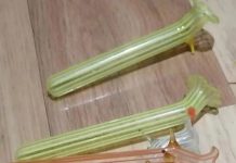 Našla sam ovo u bakinim kuhinjskim ormarićima — bila sam iznenađena kada sam saznala šta je to.