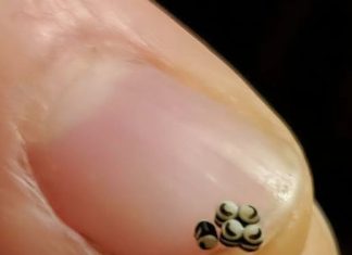 Neočekivano otkriće u salati promenilo je naše veče u restoranu.