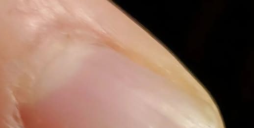 Neočekivano otkriće u salati promenilo je naše veče u restoranu.