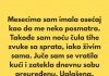 „Poslednjih nekoliko meseci imala sam osećaj kao da me neko posmatra.”