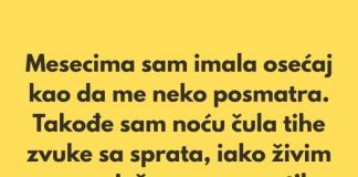 „Poslednjih nekoliko meseci imala sam osećaj kao da me neko posmatra.”