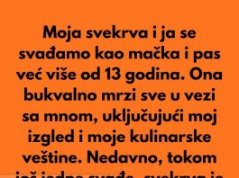 Posvađala sam se sa svekrvom zbog sitnice i na kraju otkrila prljavu porodičnu tajnu