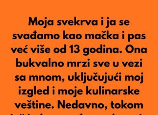 Posvađala sam se sa svekrvom zbog sitnice i na kraju otkrila prljavu porodičnu tajnu