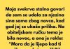 Moja svekrva pokušala me poniziti zbog novca, ali sam otkrila tajnu koju nije očekivala….