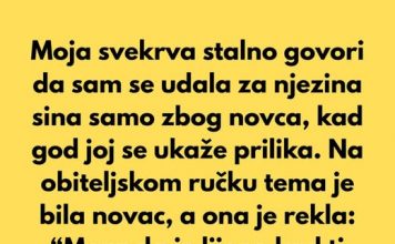 Moja svekrva pokušala me poniziti zbog novca, ali sam otkrila tajnu koju nije očekivala….