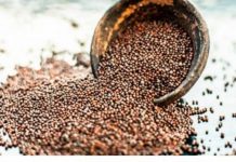 Drevni čuvar zdravlja: Ovo moćno seme sprečava rak, čisti krvotok, štiti srce i pluća i jača imunitet do maksimuma!