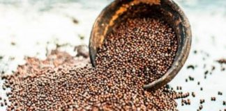 Drevni čuvar zdravlja: Ovo moćno seme sprečava rak, čisti krvotok, štiti srce i pluća i jača imunitet do maksimuma!