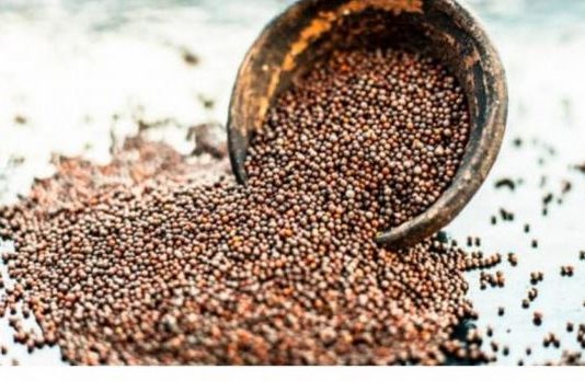 Drevni čuvar zdravlja: Ovo moćno seme sprečava rak, čisti krvotok, štiti srce i pluća i jača imunitet do maksimuma!