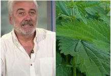 NESTOROVIĆ VEĆ 20 GODINA KORISTI OVAJ LIJEK: Snižava nivo šećera, liječi upalu mokraćnih kanala… EVO KAKO DA GA NAPRAVITE (RECEPT)