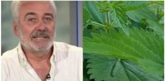 NESTOROVIĆ VEĆ 20 GODINA KORISTI OVAJ LIJEK: Snižava nivo šećera, liječi upalu mokraćnih kanala… EVO KAKO DA GA NAPRAVITE (RECEPT)