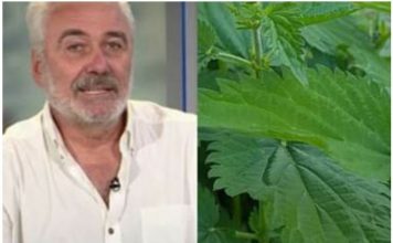 NESTOROVIĆ VEĆ 20 GODINA KORISTI OVAJ LIJEK: Snižava nivo šećera, liječi upalu mokraćnih kanala… EVO KAKO DA GA NAPRAVITE (RECEPT)