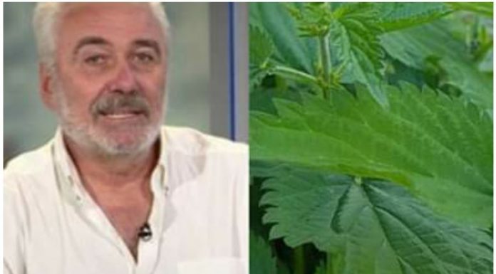 NESTOROVIĆ VEĆ 20 GODINA KORISTI OVAJ LIJEK: Snižava nivo šećera, liječi upalu mokraćnih kanala… EVO KAKO DA GA NAPRAVITE (RECEPT)