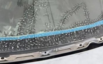 Neobični jutarnji gosti: Tragovi drvenih žaba na automobilu Neobični jutarnji gosti: Tragovi drvenih žaba na automobilu