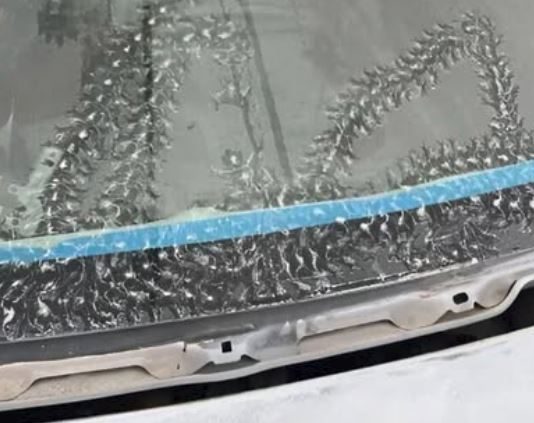 Neobični jutarnji gosti: Tragovi drvenih žaba na automobilu Neobični jutarnji gosti: Tragovi drvenih žaba na automobilu