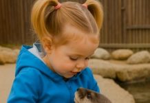 U zoološkom vrtu, devojčica je radosno igrala sa vidrom, očaravajući sve dok im nije prišao čuvar i hitno rekao: „Trebalo bi da odvedete svoju ćerku kod lekara…“