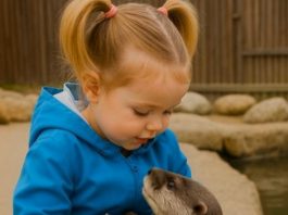 U zoološkom vrtu, devojčica je radosno igrala sa vidrom, očaravajući sve dok im nije prišao čuvar i hitno rekao: „Trebalo bi da odvedete svoju ćerku kod lekara…“