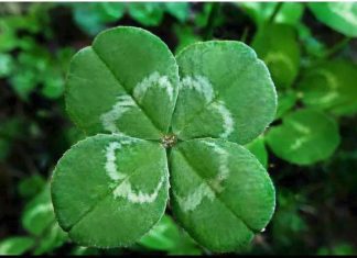 6 ZNAKOVA DA ĆE VAM SE USKORO DESITI NEŠTO DOBRO: Evo na koje SIGNALE treba da obratite pažnju