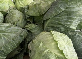 LAKO ĆETE PREPOZNATI KUPUS PUN OTROVA: Dovoljno je da obratite pažnju na ove dijelove