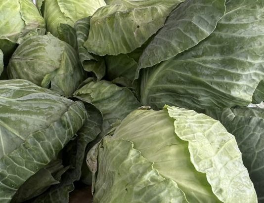 LAKO ĆETE PREPOZNATI KUPUS PUN OTROVA: Dovoljno je da obratite pažnju na ove dijelove