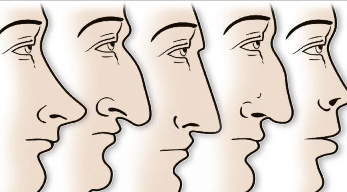 ZVUČI ČUDNO, ALI JE ISTINITO: Evo šta OBLIK NOSA govori O VAMA! Svima je pogodilo