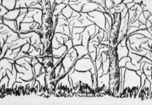 Prva životinja koju vidite na ilustraciji otkriće vam apsolutno sve o vašoj ličnosti i to bez greške