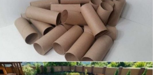 Ne bacajte rolnu toalet papira: Jedna žena je napravila čudo – i svi će ovog proleća posmatrati njeno dvorište