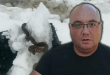 Zmije ispuzale usred zime! Vjeruje se da OVO nije dobar znak, a poznati zmijolovac upozorava – Dobro obratite pažnju na ovo!