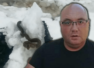Zmije ispuzale usred zime! Vjeruje se da OVO nije dobar znak, a poznati zmijolovac upozorava – Dobro obratite pažnju na ovo!