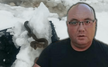 Zmije ispuzale usred zime! Vjeruje se da OVO nije dobar znak, a poznati zmijolovac upozorava – Dobro obratite pažnju na ovo!