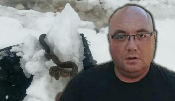 Zmije ispuzale usred zime! Vjeruje se da OVO nije dobar znak, a poznati zmijolovac upozorava – Dobro obratite pažnju na ovo!