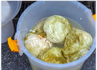 Evo kako spasiti gnjecavi kiseli kupus: Dodajte u bure 1 sastojak!