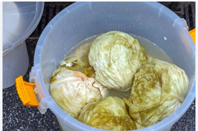 Evo kako spasiti gnjecavi kiseli kupus: Dodajte u bure 1 sastojak!