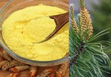 PO KAŠIČICU DNEVNO TREBA DA POJEDE SVAKA ŽENA: MAGIČNI PRAH LEČI KOSTI I UPALE, REGULIŠE HORMONE