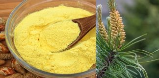 PO KAŠIČICU DNEVNO TREBA DA POJEDE SVAKA ŽENA: MAGIČNI PRAH LEČI KOSTI I UPALE, REGULIŠE HORMONE