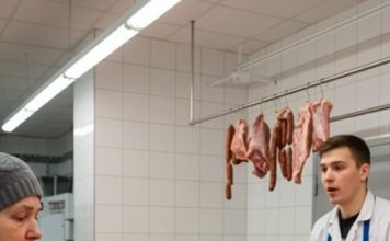 Svaki dan sedamdesetogodišnja penzionerka kupovala je kod mesara 40 kilograma mesa. Jednog dana mesar je odlučio da je prati kako bi saznao gde nestaje svo to meso.
